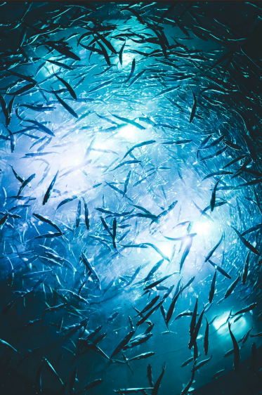 UK farms will have land management plans over the next two years.